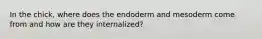 In the chick, where does the endoderm and mesoderm come from and how are they internalized?