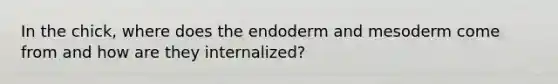 In the chick, where does the endoderm and mesoderm come from and how are they internalized?