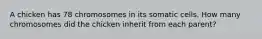 A chicken has 78 chromosomes in its somatic cells. How many chromosomes did the chicken inherit from each parent?