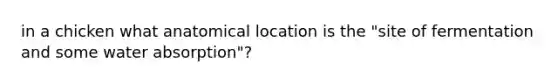 in a chicken what anatomical location is the "site of fermentation and some water absorption"?