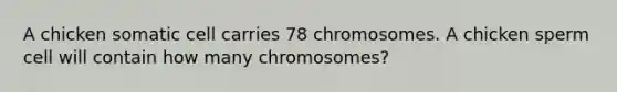 A chicken somatic cell carries 78 chromosomes. A chicken sperm cell will contain how many chromosomes?