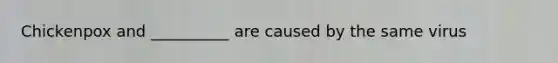 Chickenpox and __________ are caused by the same virus