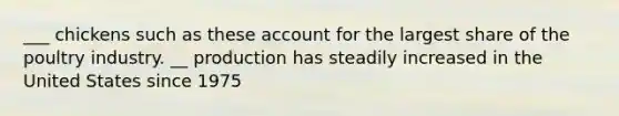___ chickens such as these account for the largest share of the poultry industry. __ production has steadily increased in the United States since 1975