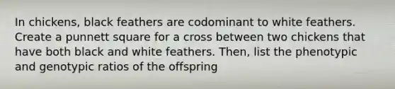 In chickens, black feathers are codominant to white feathers. Create a punnett square for a cross between two chickens that have both black and white feathers. Then, list the phenotypic and genotypic ratios of the offspring