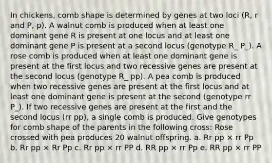 In chickens, comb shape is determined by genes at two loci (R, r and P, p). A walnut comb is produced when at least one dominant gene R is present at one locus and at least one dominant gene P is present at a second locus (genotype R_ P_). A rose comb is produced when at least one dominant gene is present at the first locus and two recessive genes are present at the second locus (genotype R_ pp). A pea comb is produced when two recessive genes are present at the first locus and at least one dominant gene is present at the second (genotype rr P_). If two recessive genes are present at the first and the second locus (rr pp), a single comb is produced. Give genotypes for comb shape of the parents in the following cross: Rose crossed with pea produces 20 walnut offspring. a. Rr pp × rr Pp b. Rr pp × Rr Pp c. Rr pp × rr PP d. RR pp × rr Pp e. RR pp × rr PP