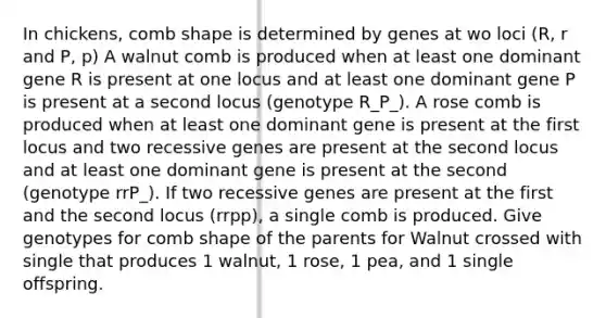 In chickens, comb shape is determined by genes at wo loci (R, r and P, p) A walnut comb is produced when at least one dominant gene R is present at one locus and at least one dominant gene P is present at a second locus (genotype R_P_). A rose comb is produced when at least one dominant gene is present at the first locus and two recessive genes are present at the second locus and at least one dominant gene is present at the second (genotype rrP_). If two recessive genes are present at the first and the second locus (rrpp), a single comb is produced. Give genotypes for comb shape of the parents for Walnut crossed with single that produces 1 walnut, 1 rose, 1 pea, and 1 single offspring.