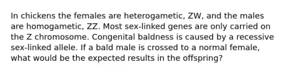 In chickens the females are heterogametic, ZW, and the males are homogametic, ZZ. Most sex-linked genes are only carried on the Z chromosome. Congenital baldness is caused by a recessive sex-linked allele. If a bald male is crossed to a normal female, what would be the expected results in the offspring?