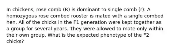 In chickens, rose comb (R) is dominant to single comb (r). A homozygous rose combed rooster is mated with a single combed hen. All of the chicks in the F1 generation were kept together as a group for several years. They were allowed to mate only within their own group. What is the expected phenotype of the F2 chicks?