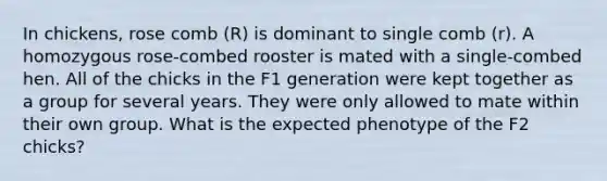 In chickens, rose comb (R) is dominant to single comb (r). A homozygous rose-combed rooster is mated with a single-combed hen. All of the chicks in the F1 generation were kept together as a group for several years. They were only allowed to mate within their own group. What is the expected phenotype of the F2 chicks?