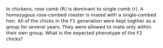 In chickens, rose comb (R) is dominant to single comb (r). A homozygous rose-combed rooster is mated with a single-combed hen. All of the chicks in the F1 generation were kept togther as a group for several years. They were allowed to mate only within their own group. What is the expected phenotype of the F2 chicks?