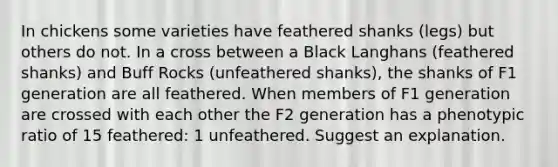 In chickens some varieties have feathered shanks (legs) but others do not. In a cross between a Black Langhans (feathered shanks) and Buff Rocks (unfeathered shanks), the shanks of F1 generation are all feathered. When members of F1 generation are crossed with each other the F2 generation has a phenotypic ratio of 15 feathered: 1 unfeathered. Suggest an explanation.