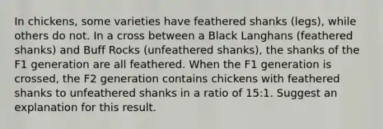 In chickens, some varieties have feathered shanks (legs), while others do not. In a cross between a Black Langhans (feathered shanks) and Buff Rocks (unfeathered shanks), the shanks of the F1 generation are all feathered. When the F1 generation is crossed, the F2 generation contains chickens with feathered shanks to unfeathered shanks in a ratio of 15:1. Suggest an explanation for this result.