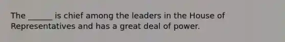 The ______ is chief among the leaders in the House of Representatives and has a great deal of power.