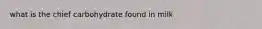 what is the chief carbohydrate found in milk