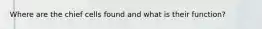 Where are the chief cells found and what is their function?