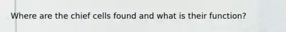 Where are the chief cells found and what is their function?