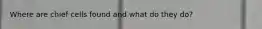 Where are chief cells found and what do they do?