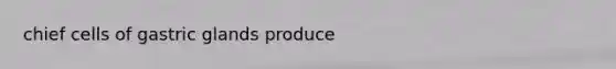 chief cells of gastric glands produce