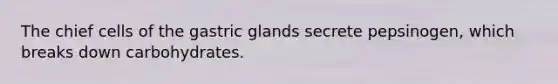 The chief cells of the gastric glands secrete pepsinogen, which breaks down carbohydrates.