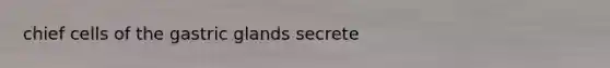 chief cells of the gastric glands secrete