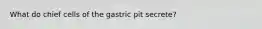 What do chief cells of the gastric pit secrete?