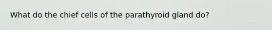 What do the chief cells of the parathyroid gland do?