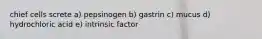 chief cells screte a) pepsinogen b) gastrin c) mucus d) hydrochloric acid e) intrinsic factor