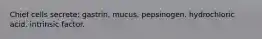 Chief cells secrete: gastrin. mucus. pepsinogen. hydrochloric acid. intrinsic factor.