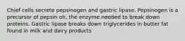 Chief cells secrete pepsinogen and gastric lipase. Pepsinogen is a precursor of pepsin oh, the enzyme needed to break down proteins. Gastric lipase breaks down triglycerides in butter fat found in milk and dairy products