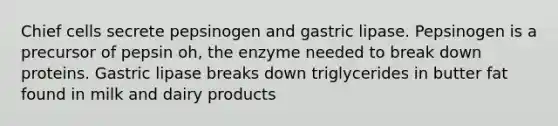 Chief cells secrete pepsinogen and gastric lipase. Pepsinogen is a precursor of pepsin oh, the enzyme needed to break down proteins. Gastric lipase breaks down triglycerides in butter fat found in milk and dairy products