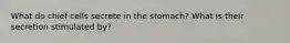 What do chief cells secrete in the stomach? What is their secretion stimulated by?