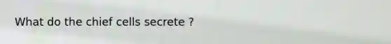What do the chief cells secrete ?