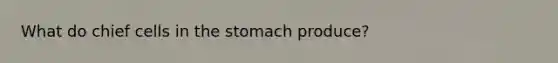 What do chief cells in the stomach produce?