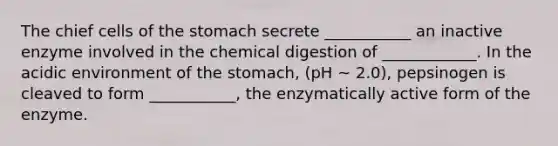 The chief cells of the stomach secrete ___________ an inactive enzyme involved in the chemical digestion of ____________. In the acidic environment of the stomach, (pH ~ 2.0), pepsinogen is cleaved to form ___________, the enzymatically active form of the enzyme.