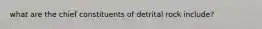 what are the chief constituents of detrital rock include?