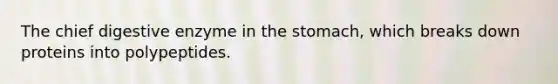The chief digestive enzyme in the stomach, which breaks down proteins into polypeptides.