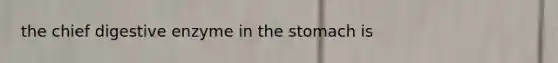 the chief digestive enzyme in the stomach is
