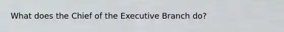 What does the Chief of the Executive Branch do?