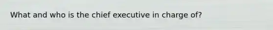 What and who is the chief executive in charge of?