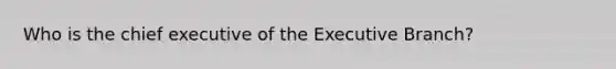 Who is the chief executive of the Executive Branch?