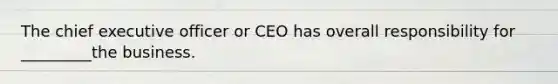 The chief executive officer or CEO has overall responsibility for _________the business.