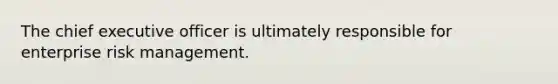 The chief executive officer is ultimately responsible for enterprise risk management.