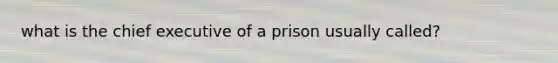 what is the chief executive of a prison usually called?