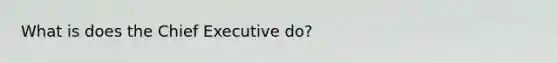 What is does the Chief Executive do?