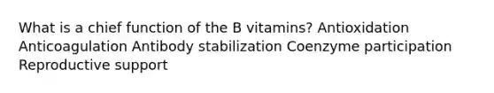 What is a chief function of the B vitamins? Antioxidation Anticoagulation Antibody stabilization Coenzyme participation Reproductive support