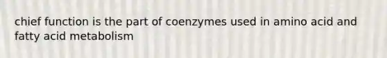 chief function is the part of coenzymes used in amino acid and fatty acid metabolism