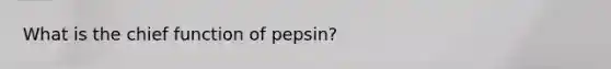 What is the chief function of pepsin?