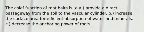 The chief function of root hairs is to a.) provide a direct passageway from the soil to the vascular cylinder. b.) increase the surface area for efficient absorption of water and minerals. c.) decrease the anchoring power of roots.