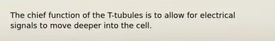 The chief function of the T-tubules is to allow for electrical signals to move deeper into the cell.