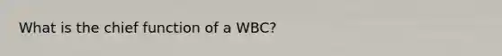 What is the chief function of a WBC?